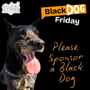 Sponsor a Black(ish) Dog