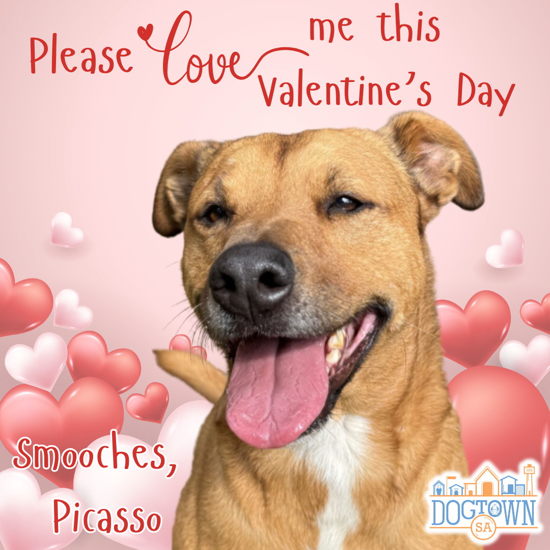 Valentine Sponsorship