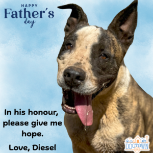 Father's Day Sponsorship