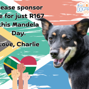 Mandela Day Sponsorships